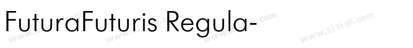 FuturaFuturis Regula字体转换